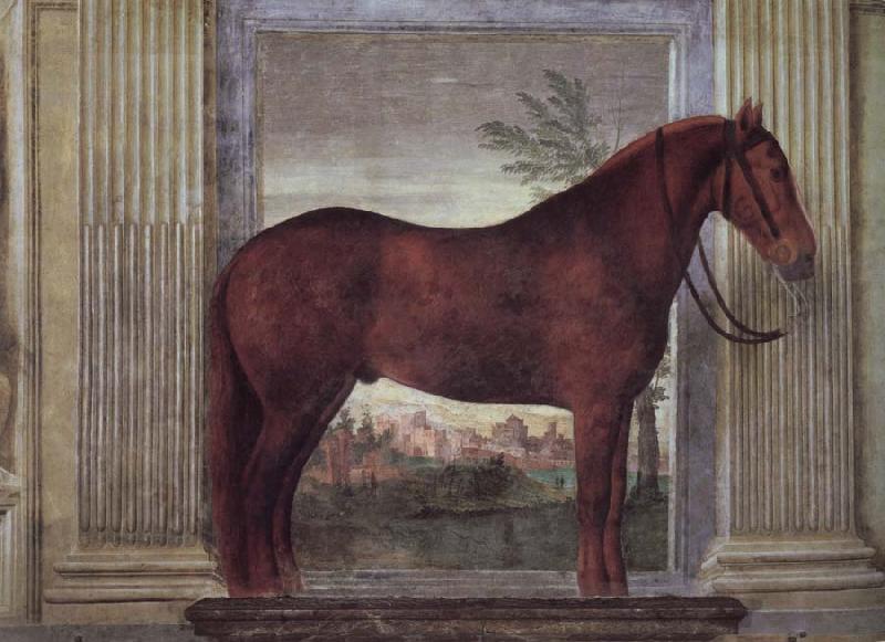 Giulio Romano Drawing-rooms dei Cavalli oil painting image